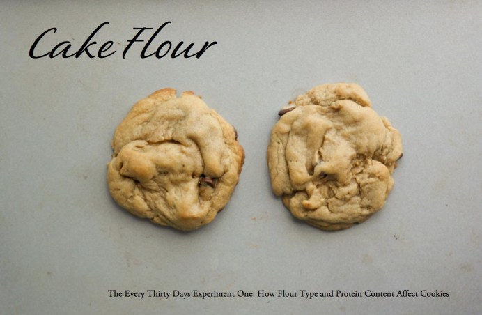 Affect of Flour Type and Protein Content on Cookies
