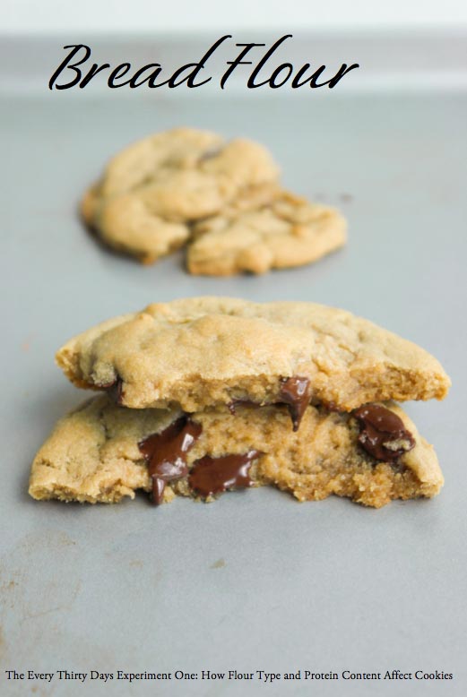 Affect of Flour Type and Protein Content on Cookies