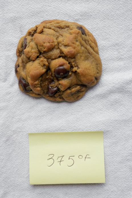 Affect of Temperature on Cookies