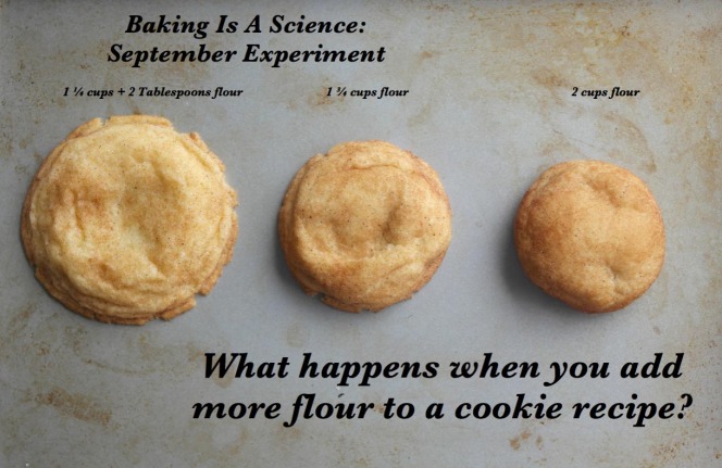 Cookie Flour Experiment