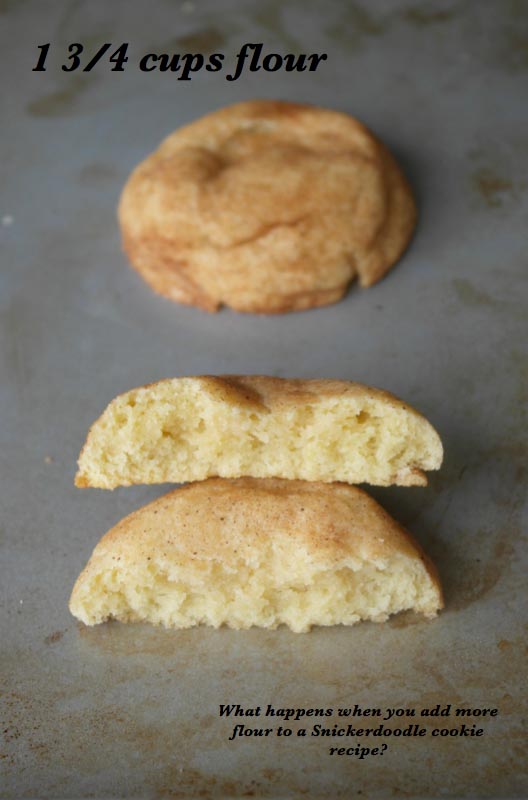 Snickerdoodle Flour Experiment