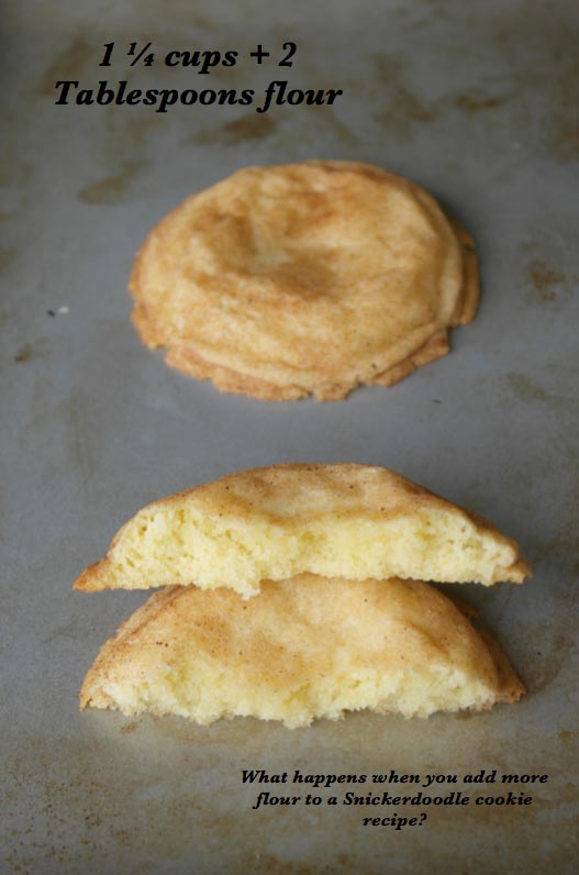 Snickerdoodle Flour Experiment
