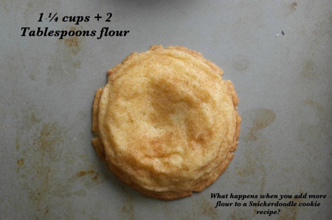 Snickerdoodle Flour Experiment