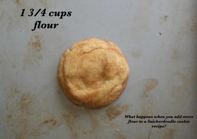 Snickerdoodle Flour Experiment
